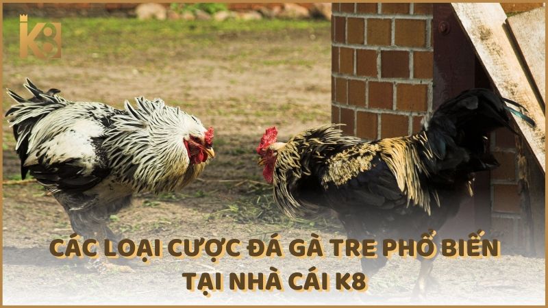 Cac Loai Cuoc Da Ga Tre Pho Bien Tai Nha Cai K8 (1)